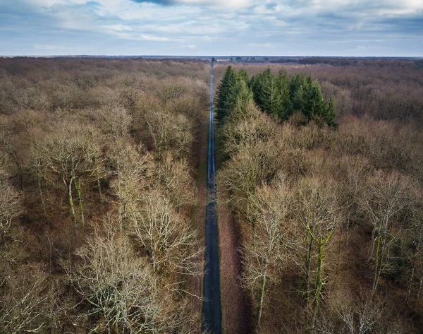 林道の航空写真 ロイヤリティフリーのストック画像