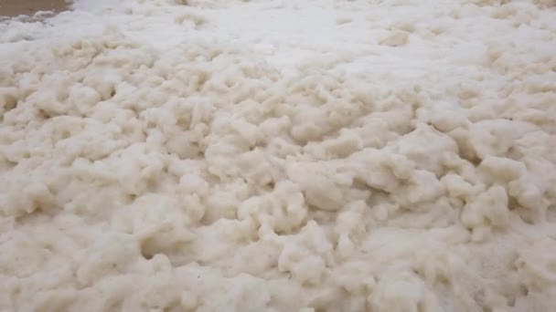 Gros plan de mousse marine sur une plage pendant une tempête 