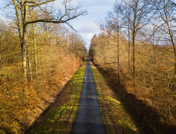 Aerial view of forest road — Stock Photo, Image