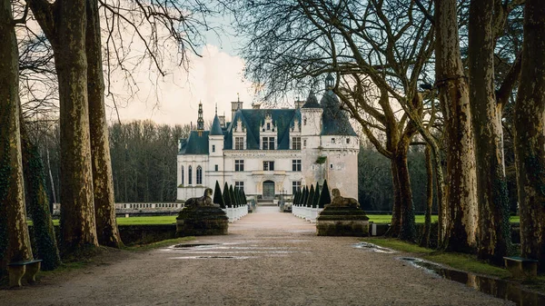 Kasteel Chenonceau in de winter, Frankrijk — Stockfoto