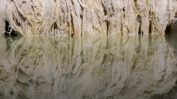 罗克塔纤维浸入水中的闭塞镜头 — 图库视频影像
