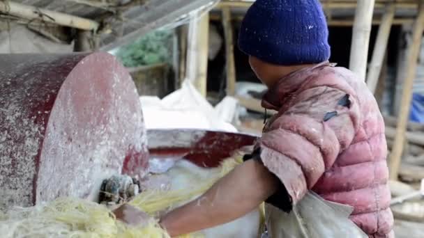 Fabrication de papier lokta à Katmandou, Népal — Video