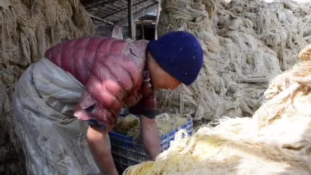 Fabricação de papel de lokta em Katmandu, Nepal — Vídeo de Stock