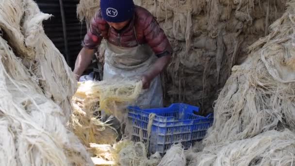 Fabricação de papel de lokta em Katmandu, Nepal — Vídeo de Stock