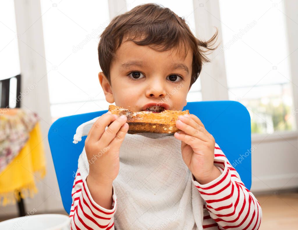 Toddler eating a toast