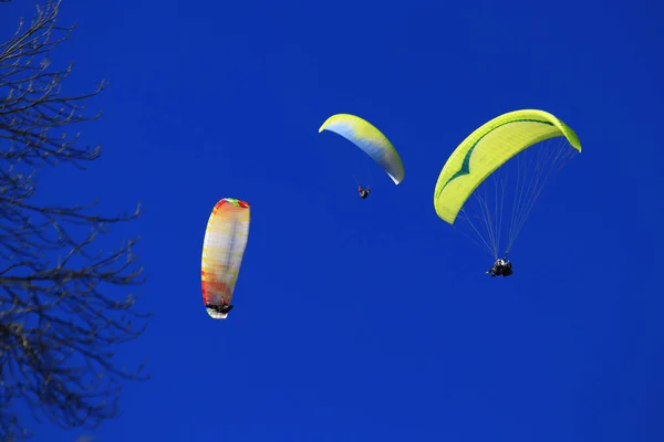 Paragliding Blue Sky — Stock Photo, Image