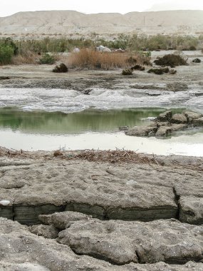Bahar ölü deniz gün görünümü ve tek renkli makro çekim