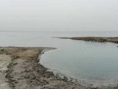 Bahar ölü deniz gün görünümü ve tek renkli makro çekim