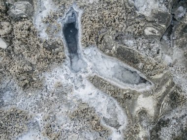 Bahar ölü deniz gün görünümü ve tek renkli makro çekim