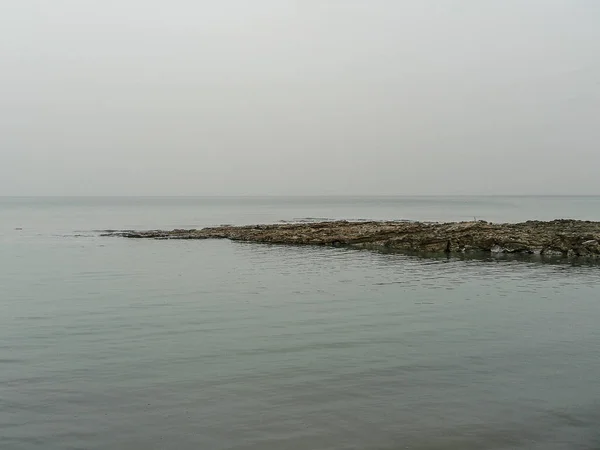 死海的春天的看法和单色宏观拍摄的 — 图库照片