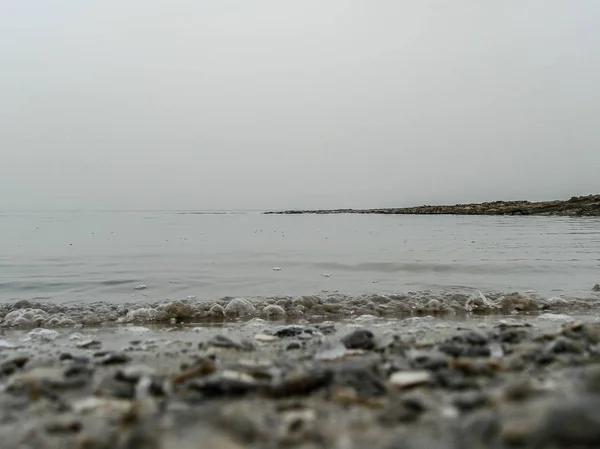 मृत सागर और मोनोक्रोम मैक्रो शॉट का वसंत दिवस दृश्य — स्टॉक फ़ोटो, इमेज