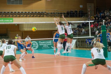 Odessa, Güney, Ukrayna - 15 Ekim 2019. Avrupa Kadınlar Voleybol Şampiyonası. Voleybol sahası, maç beklentisiyle hazırlandı. Cev Şampiyonlar Ligi Volesi 2020