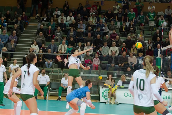 Odessa Sud Ukraine Octobre 2019 Championnat Europe Volleyball Féminin Terrain — Photo