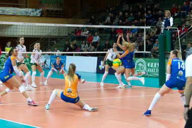 Odessa, Güney, Ukrayna - 15 Ekim 2019. Avrupa Kadınlar Voleybol Şampiyonası. Voleybol sahası, maç beklentisiyle hazırlandı. Cev Şampiyonlar Ligi Volesi 2020