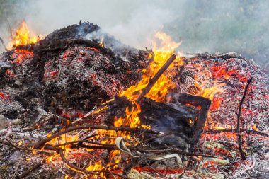 Çiftçi, şenlik ateşi, açık havada şenlik ateşi ve tarım kavramında yeşil atıkları yakıyor. Düşen yapraklar, dallar ve ev çöpleri sonbahar yangınında yanar.