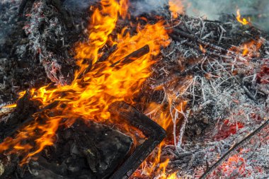 Çiftçi, şenlik ateşi, açık havada şenlik ateşi ve tarım kavramında yeşil atıkları yakıyor. Düşen yapraklar, dallar ve ev çöpleri sonbahar yangınında yanar.