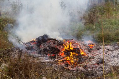 Çiftçi, şenlik ateşi, açık havada şenlik ateşi ve tarım kavramında yeşil atıkları yakıyor. Düşen yapraklar, dallar ve ev çöpleri sonbahar yangınında yanar.
