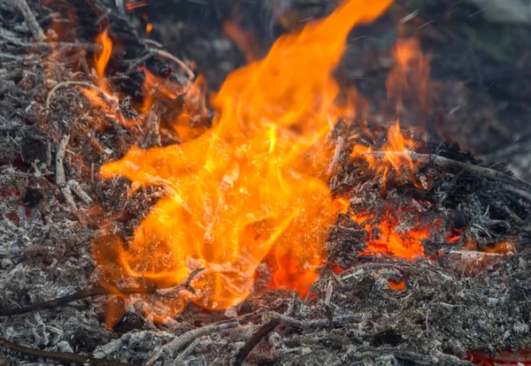 Fermier Brûle Des Déchets Verts Dans Concept Feu Joie Feu — Photo