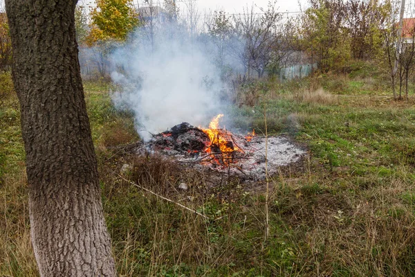 Çiftçi Şenlik Ateşi Açık Havada Şenlik Ateşi Tarım Kavramında Yeşil — Stok fotoğraf