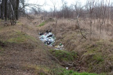 Orman çöpte. Yasadışı çöp orman atılmış insanlar. İnsan ve doğa kavramı. Doğada yasadışı çöplüğü. Kirli çevre yolu ormandaki hiking yakınındaki çöp kirletici. Çöp kutusu