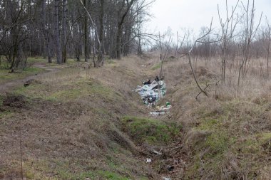 Orman çöpte. Yasadışı çöp orman atılmış insanlar. İnsan ve doğa kavramı. Doğada yasadışı çöplüğü. Kirli çevre yolu ormandaki hiking yakınındaki çöp kirletici. Çöp kutusu