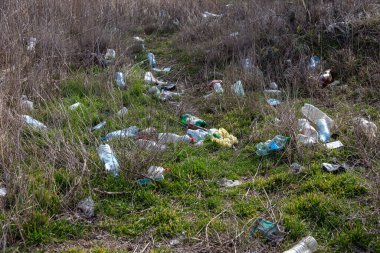 Orman çöpte. Yasadışı çöp orman atılmış insanlar. İnsan ve doğa kavramı. Doğada yasadışı çöplüğü. Kirli çevre yolu ormandaki hiking yakınındaki çöp kirletici. Çöp kutusu