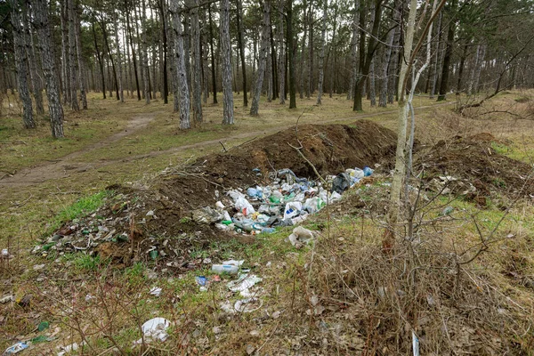 Garbage Forest People Illegally Thrown Garbage Forest Concept Man Nature — Stock Photo, Image