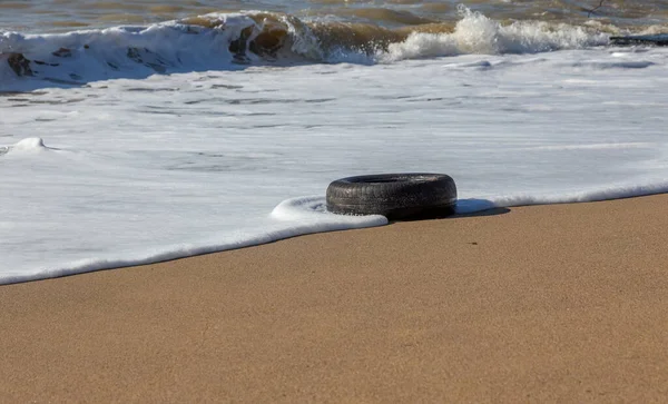 Old car tires on the beach,Water and sea coast pollution car tires on sand beach,An image of an old car tire ingrown into the sand.Old car tires with seaweed stuck on.