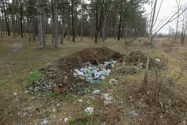 Basura Bosque Gente Tiró Ilegalmente Basura Bosque Concepto Hombre Naturaleza — Foto de Stock