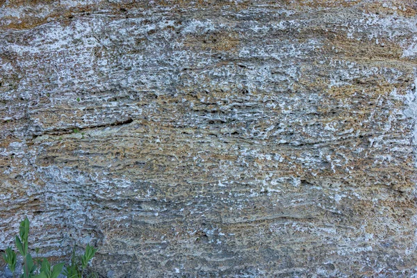 Pared Yeso Oscuro Con Sucio Blanco Negro Arañado Fondo Horizontal — Foto de Stock