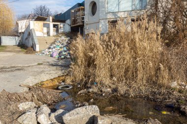 Yasadışı ev çöplüğü. İnsanlar evlerinin çöplerini yasadışı çöplüklere atıyorlar. Terk edilmiş plastik çöp, plastik torbalar, şişeler. Ev atıklarının imhası ile ilgili çevre sorunu
