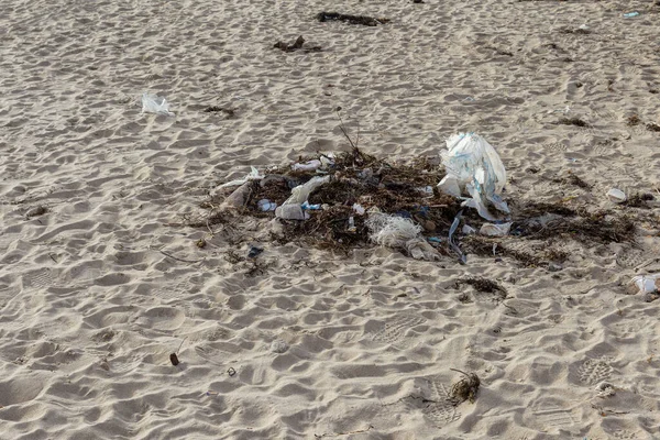 Yasadışı ev çöplüğü. İnsanlar evlerinin çöplerini yasadışı çöplüklere atıyorlar. Terk edilmiş plastik çöp, plastik torbalar, şişeler. Ev atıklarının imhası ile ilgili çevre sorunu