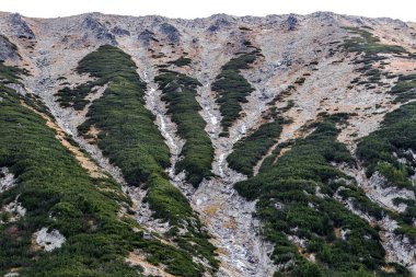 Orman ve bulutlu gökyüzü ile kaplı güzel, parlak, zıt dağlar. Balkan Dağları, Bulgaristan, Avrupa