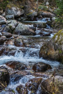 Parlak, zıt bir dağ manzarası. Dağ nehri dağ kayalarının arasından hızla akar, şelaleler oluşur ve bir sürü sprey püskürtülür. Balkan Dağları, Bulgaristan, Avrupa