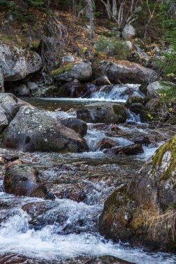 Parlak, zıt bir dağ manzarası. Dağ nehri dağ kayalarının arasından hızla akar, şelaleler oluşur ve bir sürü sprey püskürtülür. Balkan Dağları, Bulgaristan, Avrupa