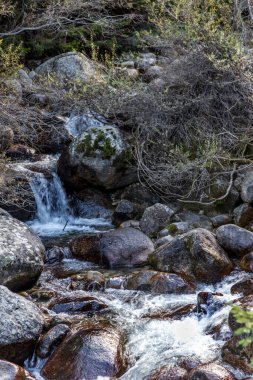 Parlak, zıt bir dağ manzarası. Dağ nehri dağ kayalarının arasından hızla akar, şelaleler oluşur ve bir sürü sprey püskürtülür. Balkan Dağları, Bulgaristan, Avrupa