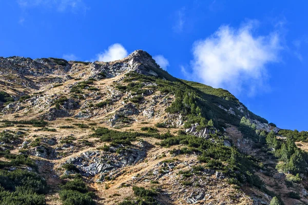 Hermoso Paisaje Montaña Contrastante Brillante Con Cimas Montaña Cubiertas Bosque — Foto de Stock