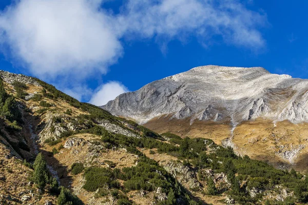 Frumos Peisaj Montan Contrastant Luminos Vârfuri Munte Acoperite Pădure Cer — Fotografie, imagine de stoc