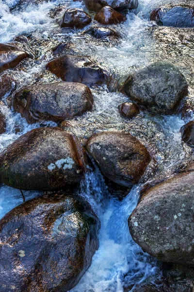 Hermoso Paisaje Montaña Contrastante Brillante Río Montaña Fluye Rápidamente Través —  Fotos de Stock