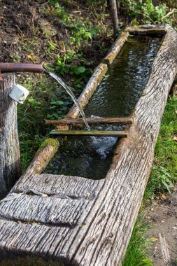 Geleneksel ahşap yalaklar. İnsanlar ve hayvanlar için yalaklar. Dağ kaynaklarından toplanan saf su. Eski köylü teknolojisi.