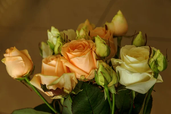 Mooie Zachte Rozen Geel Groene Pastel Kleuren Zachte Bloemige Achtergrond — Stockfoto