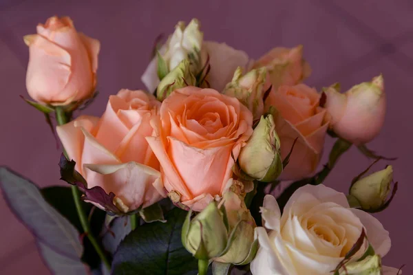 Mooie Zachte Rozen Geel Groene Pastel Kleuren Zachte Bloemige Achtergrond — Stockfoto