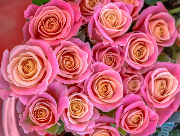 Hermoso Fondo Romántico Rosas Rosadas Para Diseño Fondo Suave — Foto de Stock