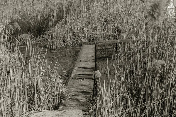 Sazlıktaki Eski Paslı Köprü Balıkçılar Için Paslı Metal — Stok fotoğraf