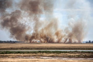 Yaz kuraklığı sırasında güney bozkırlarında büyük boğucu duman bulutlarıyla güçlü çayır yangını patlak verdi. Kasabadaki evlere ateş hattı açılıyor. Ekolojik felaket