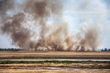 Yaz kuraklığı sırasında güney bozkırlarında büyük boğucu duman bulutlarıyla güçlü çayır yangını patlak verdi. Kasabadaki evlere ateş hattı açılıyor. Ekolojik felaket