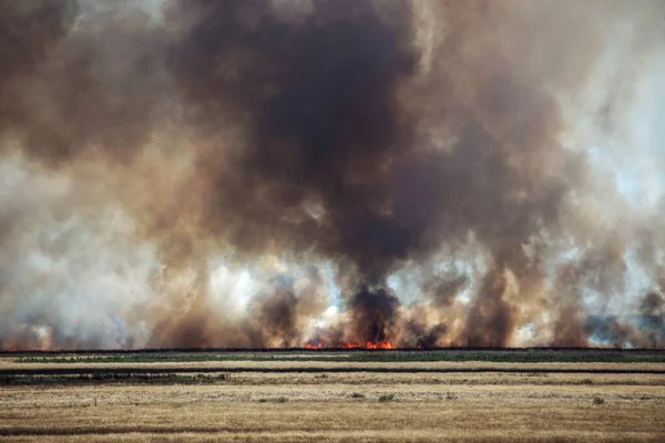 Strong prairie fire with large clouds of choking smoke erupted in southern steppe during the summer drought. The line of fire is coming to town houses. Ecological catastrophy