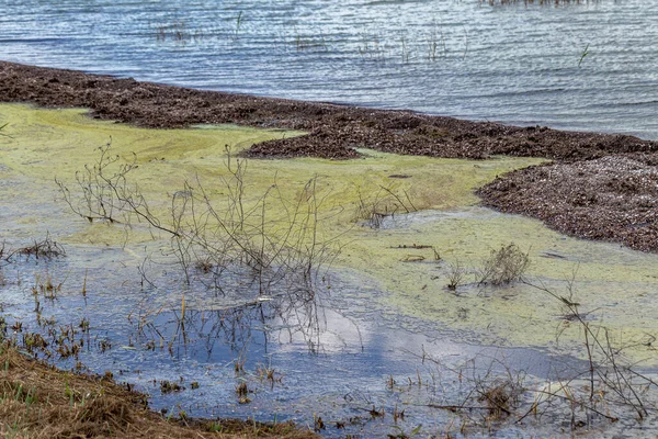 Vuil Water Met Vuilnis Watervervuiling Openbaar Kanaal Riolering Van Stad — Stockfoto