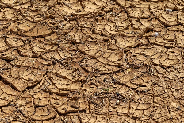 Terra Rachada Conceito Rachaduras Superfície Terra Mudam Como Resultado Encolhimento — Fotografia de Stock