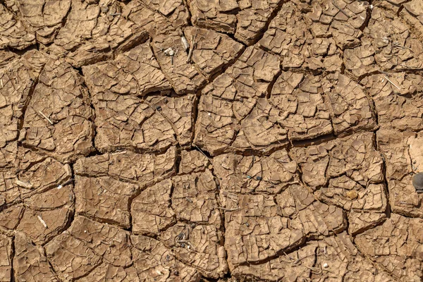 Gebarsten Aarde Onderwerp Scheuren Het Aardoppervlak Veranderen Als Gevolg Van — Stockfoto